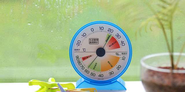 梅雨の湿度による体調不良「湿邪」 効果的な4つの対処法を解説