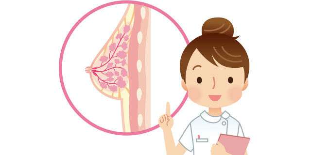 女の子の胸はいつから膨らむ 乳房の発達過程とブラをつける時期 女の子の胸はいつから膨らむ 乳房の発達過程とブラをつける時期
