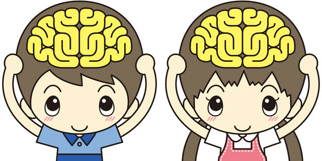子供の脳