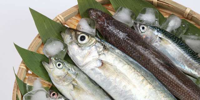 青魚類