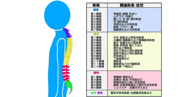 脊髄の部位ごとの疾患