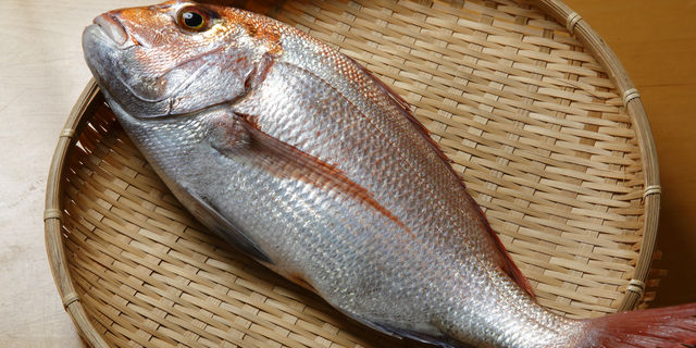 鯛