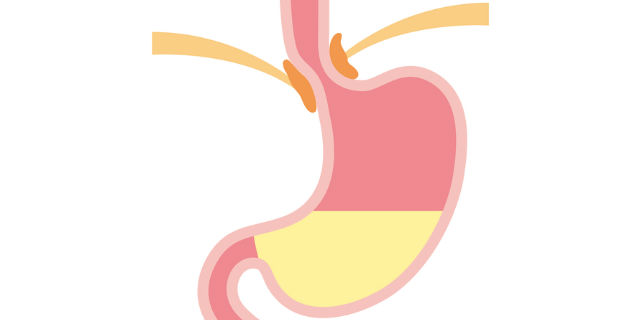 胃液
