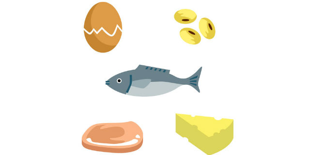 タンパク質の食べ物