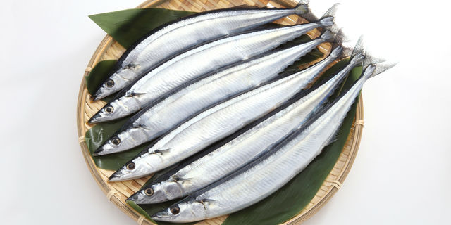 サンマ