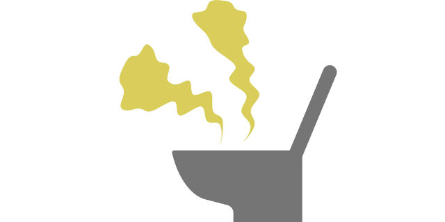 トイレが臭い
