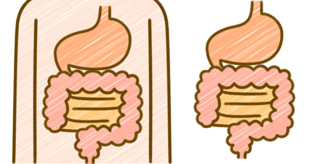 胃腸