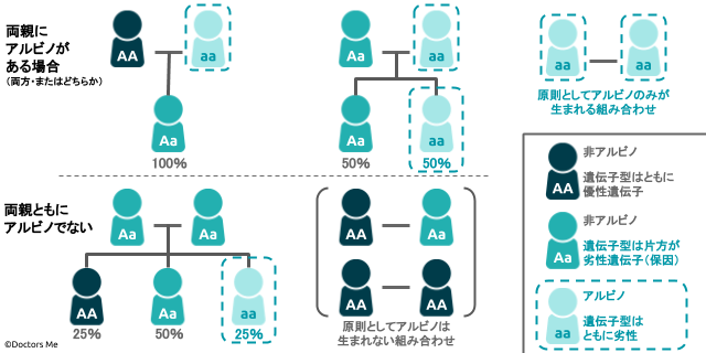 遺伝を説明する家系図