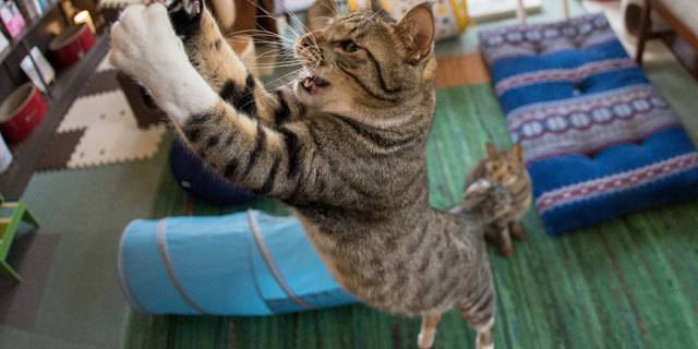 コラム画像