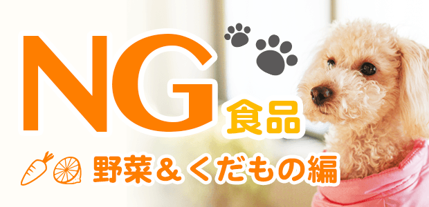 犬にNG食べ物リスト!~野菜・果物編~
