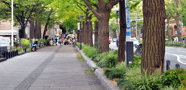 もしも愛犬が交通事故にあったら……すぐにすべきこととは!?