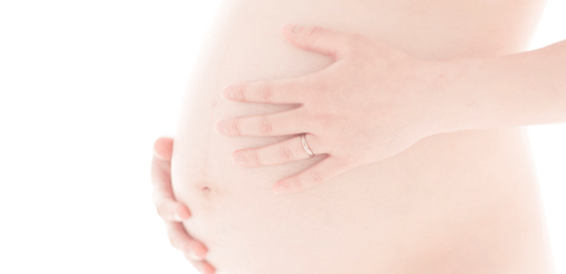 妊婦のお腹